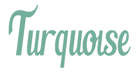 Frank Turquoise Group Logo